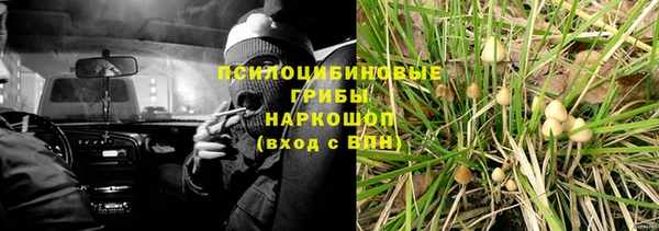 каннабис Абаза